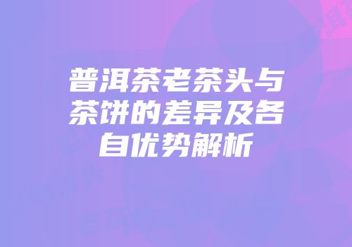 普洱茶老茶头与茶饼的差异及各自优势解析