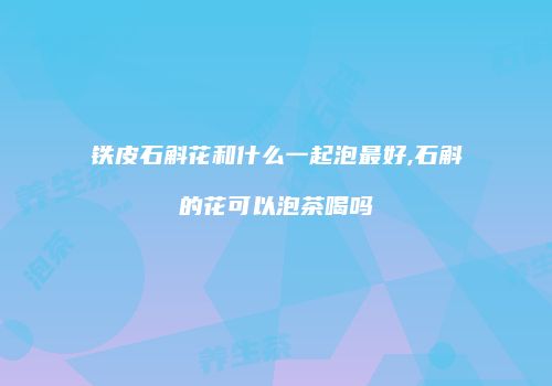 铁皮石斛花和什么一起泡最好,石斛的花可以泡茶喝吗