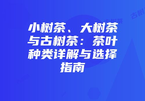 小树茶、大树茶与古树茶：茶叶种类详解与选择指南