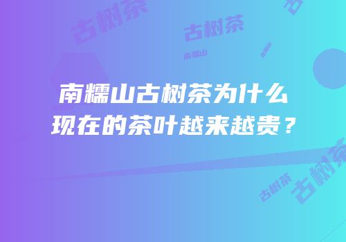 南糯山古树茶为什么现在的茶叶越来越贵？