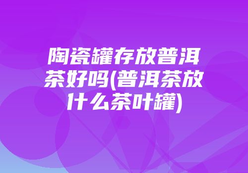 陶瓷罐存放普洱茶好吗(普洱茶放什么茶叶罐)