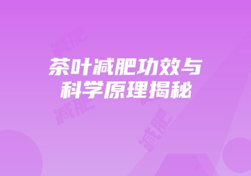 茶叶减肥功效与科学原理揭秘
