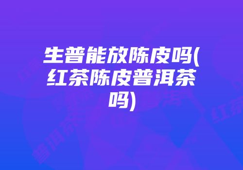 生普能放陈皮吗(红茶陈皮普洱茶吗)