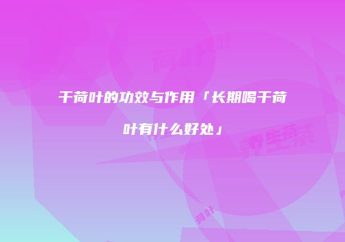 干荷叶的功效与作用「长期喝干荷叶有什么好处」