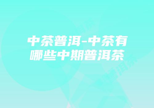 中茶普洱-中茶有哪些中期普洱茶