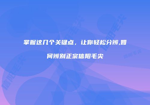 掌握这几个关键点，让你轻松分辨,如何辨别正宗信阳毛尖