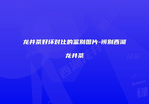 龙井茶好坏对比的鉴别图片-辨别西湖龙井茶