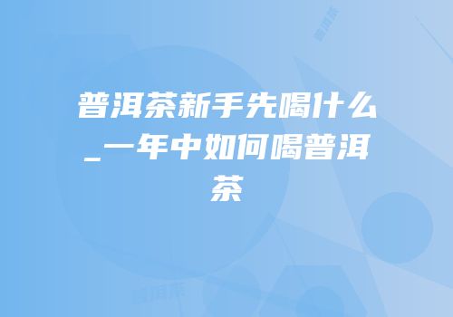 普洱茶新手先喝什么_一年中如何喝普洱茶