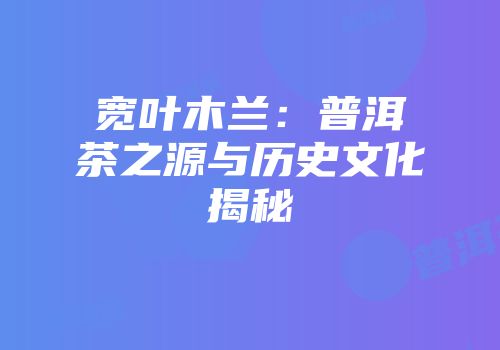 宽叶木兰：普洱茶之源与历史文化揭秘