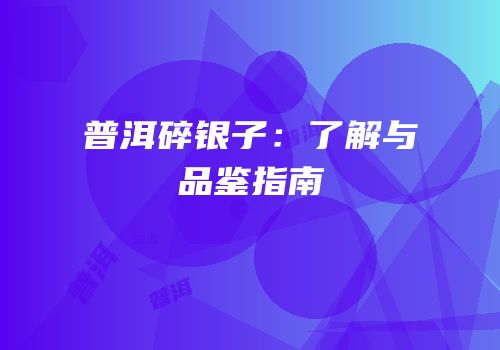 普洱碎银子：了解与品鉴指南