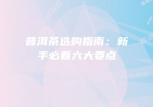 普洱茶选购指南：新手必看六大要点