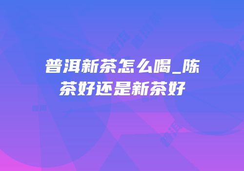 普洱新茶怎么喝_陈茶好还是新茶好