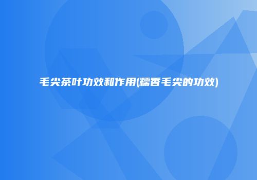毛尖茶叶功效和作用(糯香毛尖的功效)