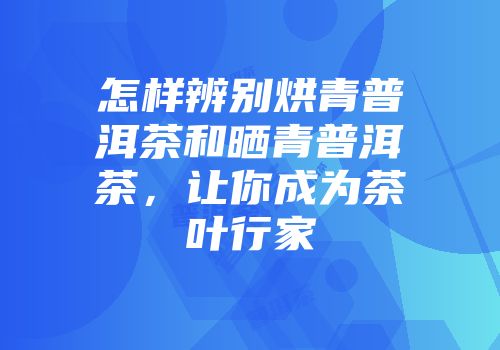怎样辨别烘青普洱茶和晒青普洱茶，让你成为茶叶行家