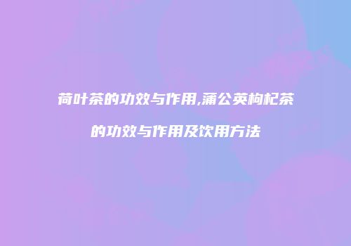 荷叶茶的功效与作用,蒲公英枸杞茶的功效与作用及饮用方法