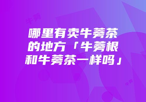 哪里有卖牛蒡茶的地方「牛蒡根和牛蒡茶一样吗」