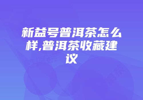 新益号普洱茶怎么样,普洱茶收藏建议