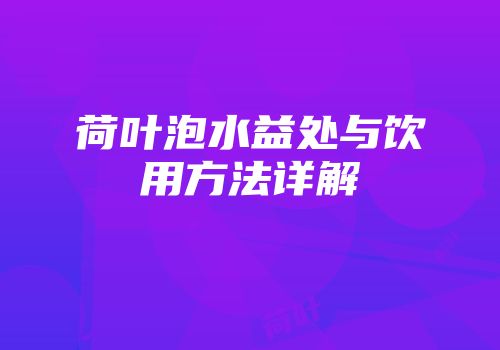 荷叶泡水益处与饮用方法详解