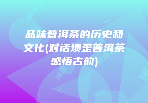 品味普洱茶的历史和文化(对话坝歪普洱茶感悟古韵)