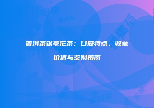 普洱茶银毫沱茶：口感特点、收藏价值与鉴别指南