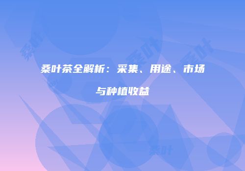 桑叶茶全解析：采集、用途、市场与种植收益