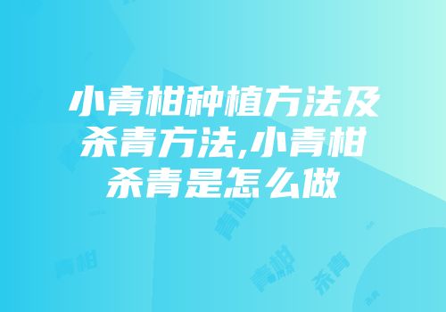 小青柑种植方法及杀青方法,小青柑杀青是怎么做