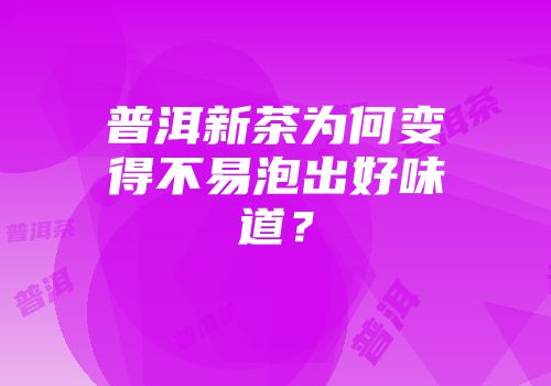普洱新茶为何变得不易泡出好味道？