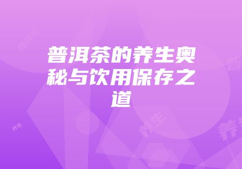 普洱茶的养生奥秘与饮用保存之道