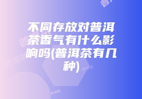 不同存放对普洱茶香气有什么影响吗(普洱茶有几种)
