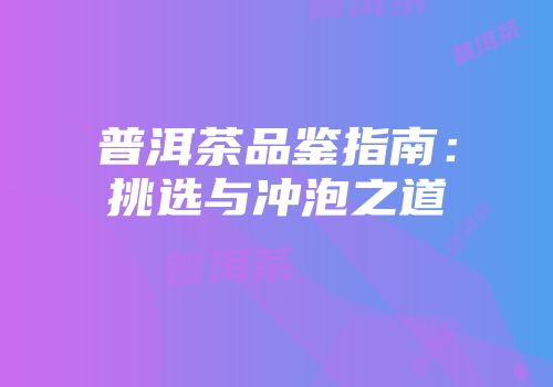 普洱茶品鉴指南：挑选与冲泡之道