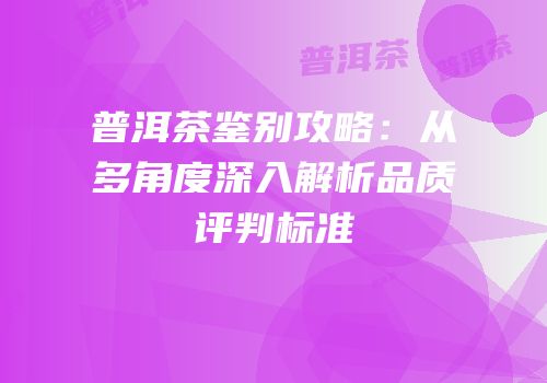 普洱茶鉴别攻略：从多角度深入解析品质评判标准