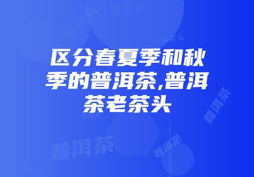 区分春夏季和秋季的普洱茶,普洱茶老茶头