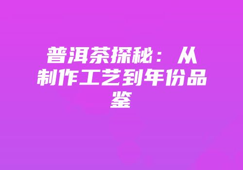 普洱茶探秘：从制作工艺到年份品鉴