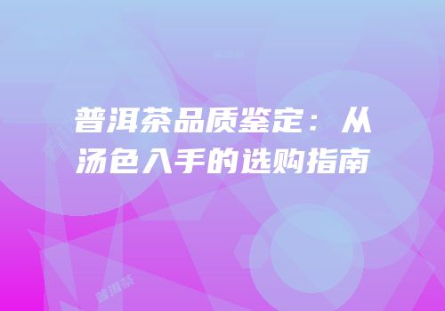 普洱茶品质鉴定：从汤色入手的选购指南