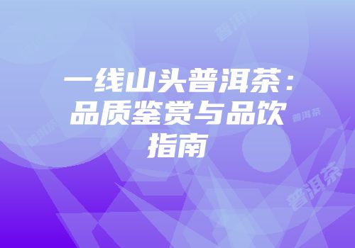 一线山头普洱茶：品质鉴赏与品饮指南