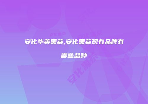 安化华莱黑茶,安化黑茶现有品牌有哪些品种