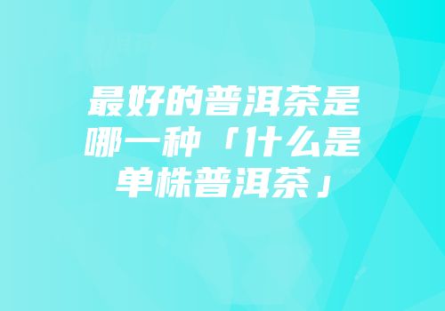 最好的普洱茶是哪一种「什么是单株普洱茶」