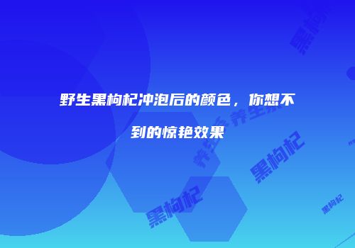 野生黑枸杞冲泡后的颜色，你想不到的惊艳效果