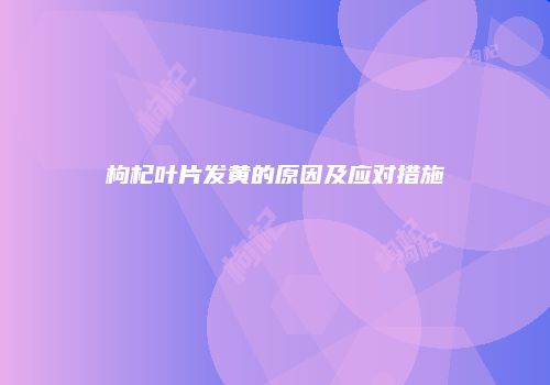 枸杞叶片发黄的原因及应对措施