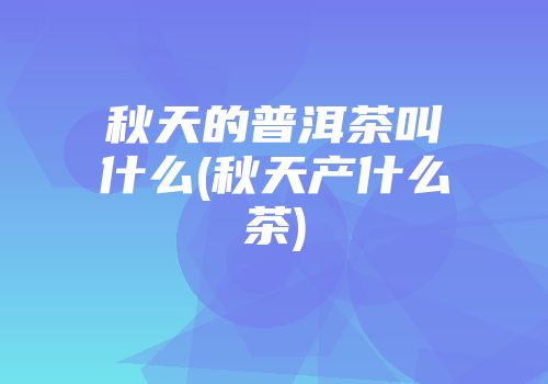 秋天的普洱茶叫什么(秋天产什么茶)