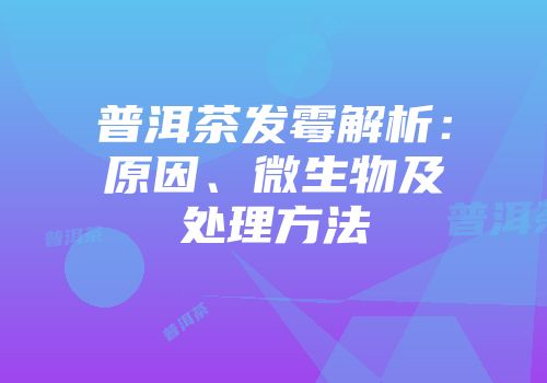 普洱茶发霉解析：原因、微生物及处理方法
