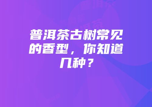 普洱茶古树常见的香型，你知道几种？