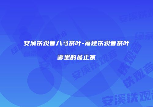 安溪铁观音八马茶叶-福建铁观音茶叶哪里的最正宗