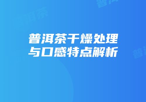 普洱茶干燥处理与口感特点解析