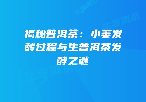 揭秘普洱茶：小篓发酵过程与生普洱茶发酵之谜
