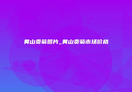 黄山贡菊图片_黄山贡菊市场价格