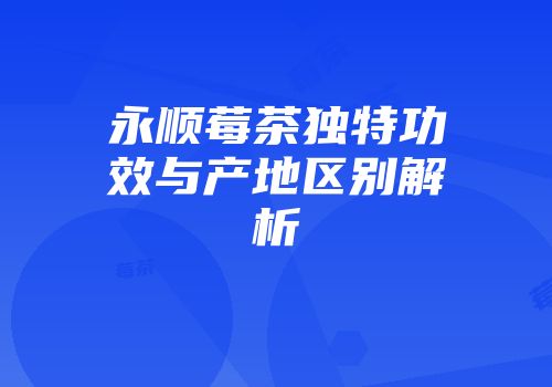 永顺莓茶独特功效与产地区别解析