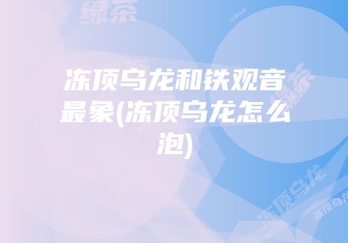 冻顶乌龙和铁观音最象(冻顶乌龙怎么泡)