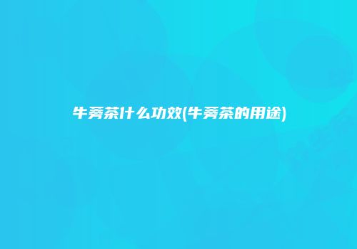 牛蒡茶什么功效(牛蒡茶的用途)
