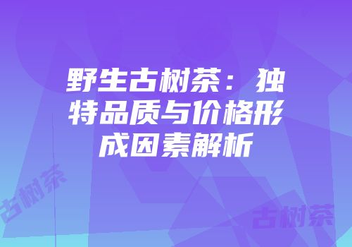 野生古树茶：独特品质与价格形成因素解析